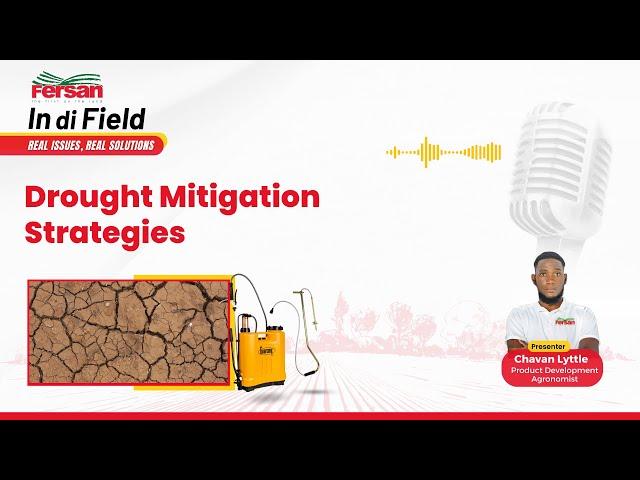 Drought Mitigation Strategies