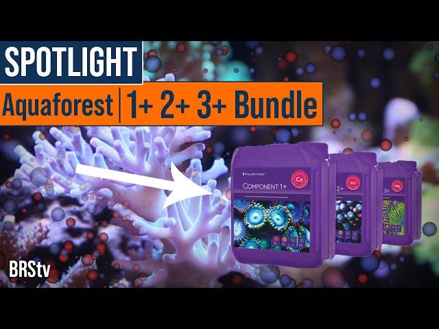 Balling Method for Reef Tanks Made Easy! Aquaforest Component 1+, 2+, 3+ Bundle