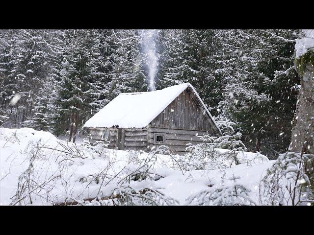 cold winter night in an abandoned hunters log cabin