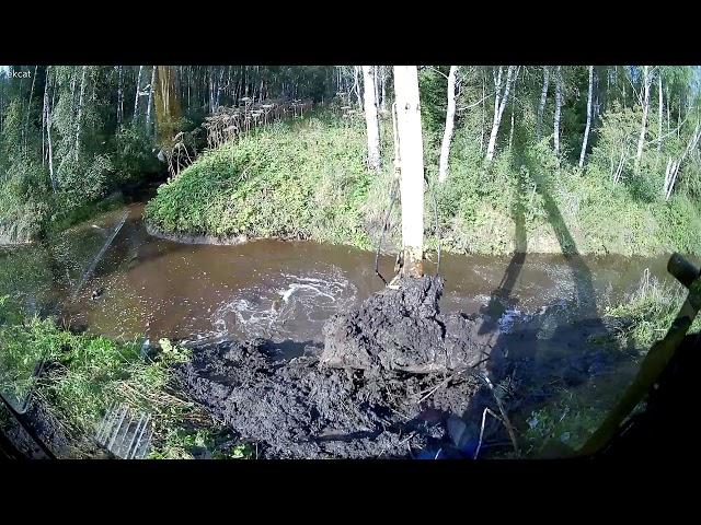 Beavers blocked two ditches