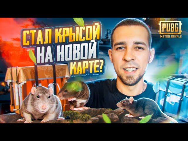 СТАЛ КРЫСОЙ НА НОВОЙ КАРТЕ? КАК БЫСТРО ПОДНЯТЬСЯ В METRO ROYALE?! / PUBG MOBILE / МЕТРО РОЯЛЬ