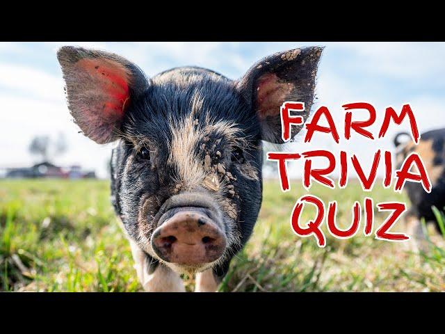 Farm Trivia Quiz #farming #quiz #trivia #animal #cattle #chicken #goat #horse #cow #poultry #farm