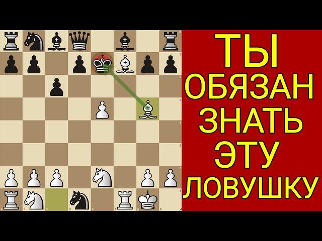 ЭТА ЛОВУШКА РАЗНОСИТ ЛЮБОГО СОПЕРНИКА В ЛЮБОЙ ПАРТИИ. Шахматы Ловушки. Шахматы Обучение. Шахматы