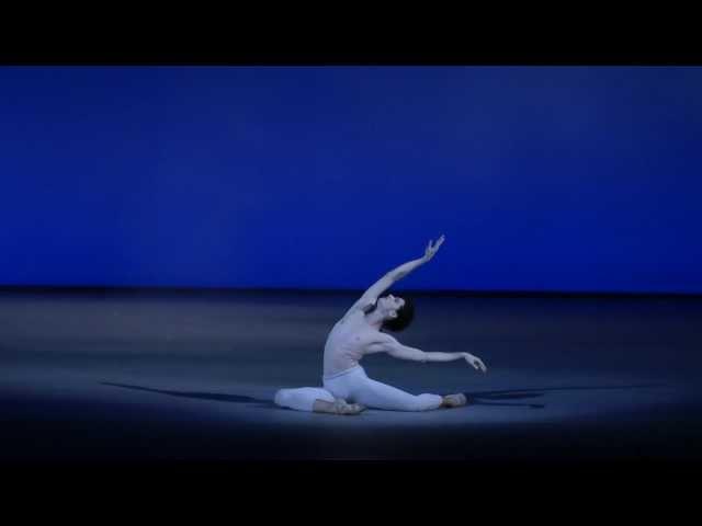 Alexandro Virelles The Dying Swan