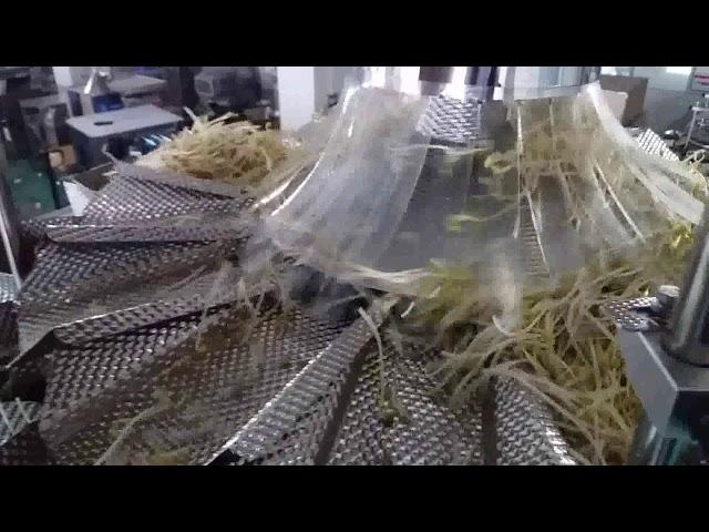 bean sprouts bowl semi automatic weighing filling packing system from Wilpac