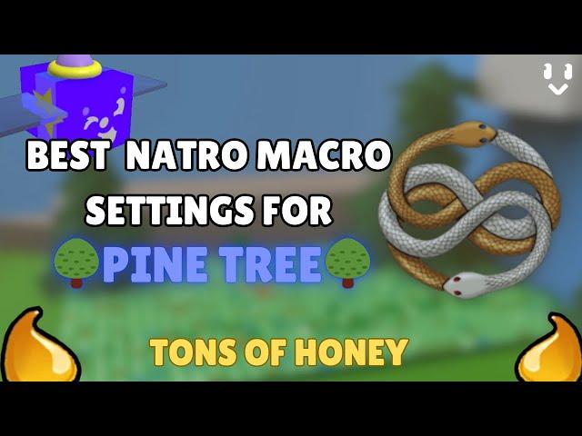 The BEST Natro Macro Settings for Pine Tree Field! (Lots of honey)