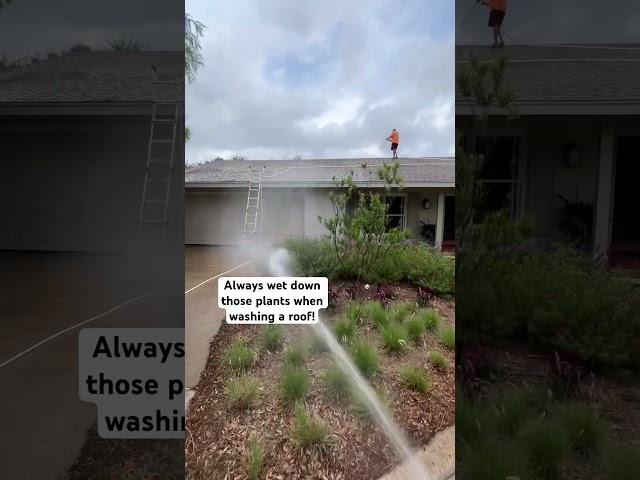 Always wet down plants and the grass when washing a roof! #pressurewashing #windowcleaning #roofwash