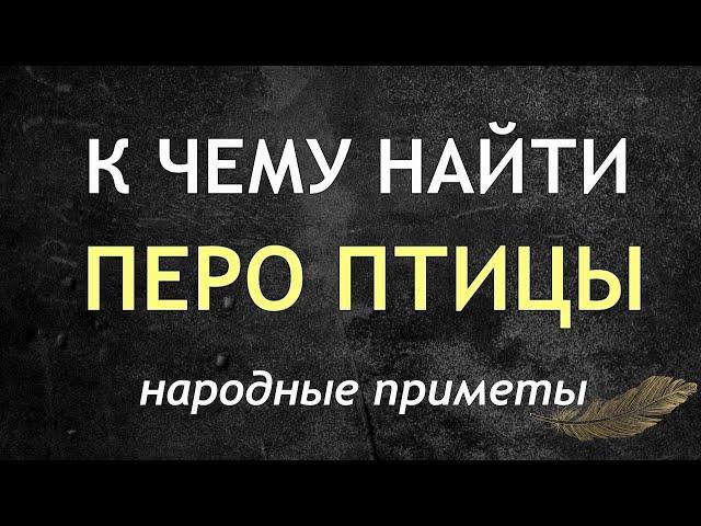 К чему найти ПЕРО ПТИЦЫ. Народные приметы и поверья.