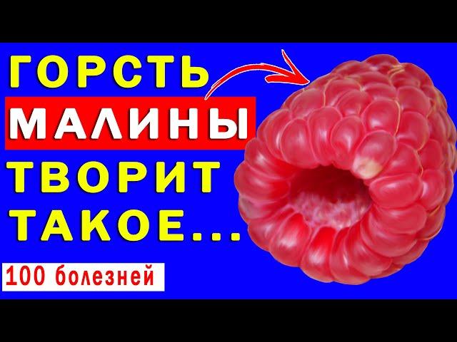 Зачем Вам НАДО ЕСТЬ МАЛИНУ? Польза и Вред Малины для организма  | Полезные советы для жизни