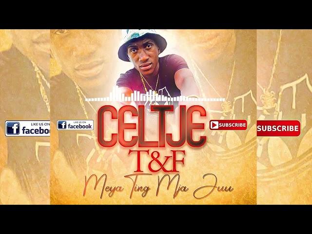 Celtje - Meya Ting Mja Juu [Official Music Audio]