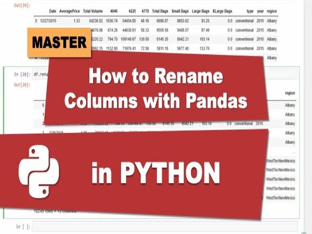 How to Rename Columns in Python Pandas DataFrame