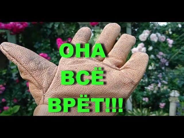 ОНА ВСЁ ВРЁТ! - кричали хейтеры.