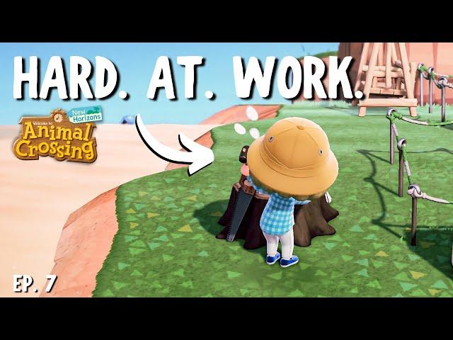 Collect & craft & collect & CRAFT & COLLECT  Let's Play ACNH #007