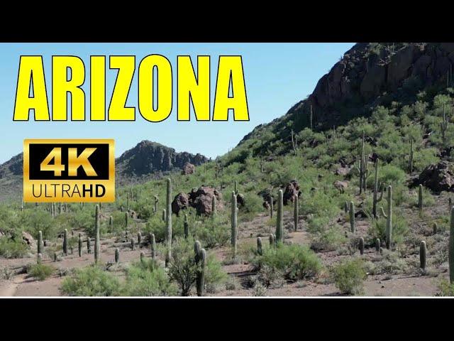 4K Saguaro Fields and Desert Plants in Arizona | 4K Drone Footage 