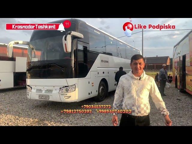 Krasnodar Tashkent avtobus#￼ Ростов-на-Дону Ташкент автобус#Крым Ташкент автобус#Сочи Ташкент авто