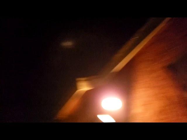 BioHazard Whistle Salute Rocket firework