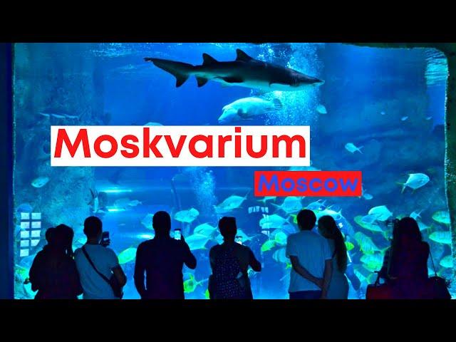 Moskvarium, the largest aquarium in Europe