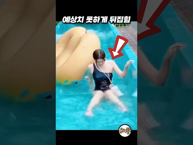 갈 곳 잃어버린 눈길 #funny #웃긴짤 #웃긴영상 #웃긴동영상