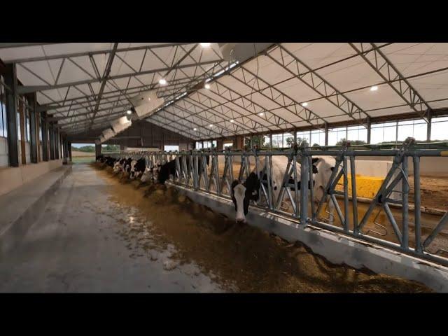 Training Cows from the Lely Robot "Fetch" List! October 5-6, 2024