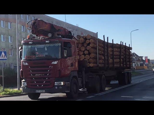 Scania Turbo sound holztransport