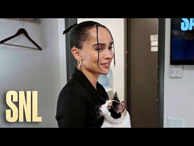 Please Don't Destroy - We Got Her a Cat - SNL