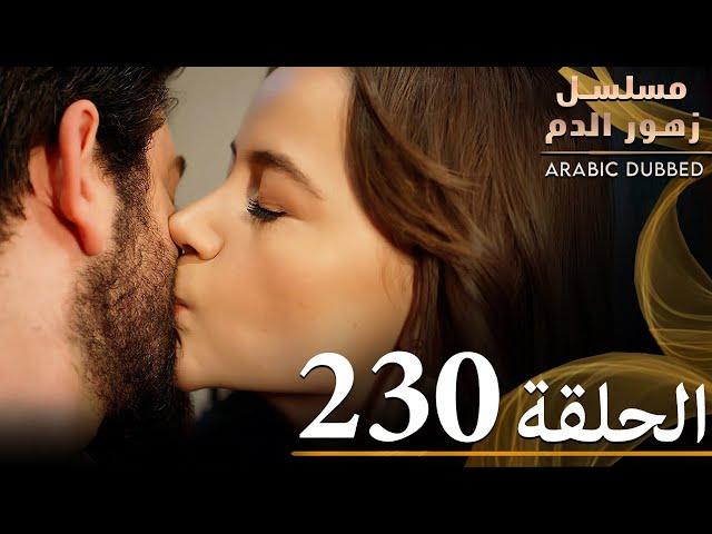 الحلقة 230 | مسلسل زهور الدم | مدبلج بالعربية | Kan Çiçekleri