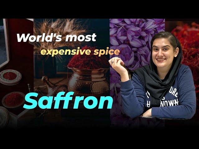 Secrets of Saffron:Benefits,How to use& why it costs more than Gold in Iran's First Saffron Workshop