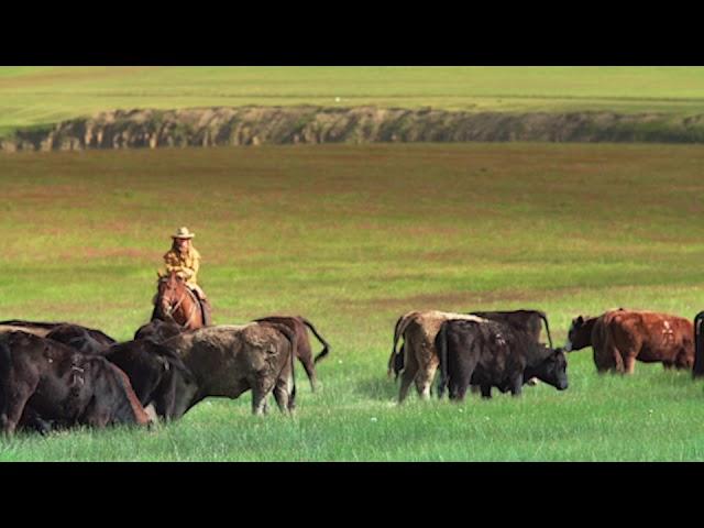 Beaverhead Outdoors Ranch Group