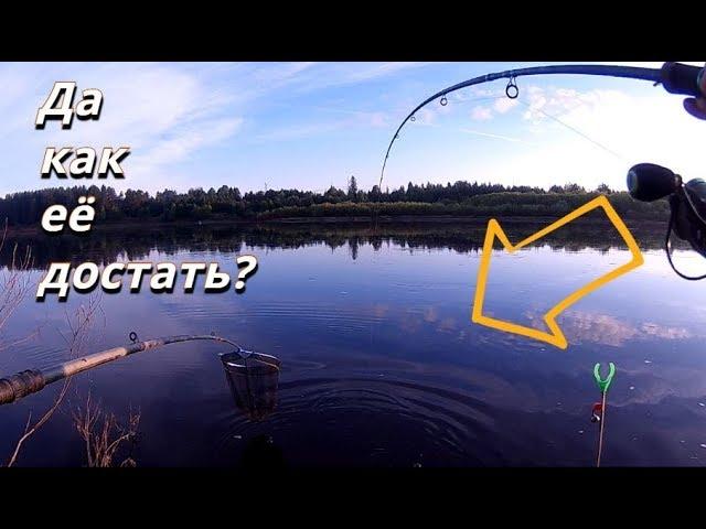 ВОТ ЭТО ОНА ДАВИТ! ДА КАК ЕЁ ДОСТАТЬ? Добавил в прикорм КОФЕ. Ночная рыбалка фидером - Б.Р.№678