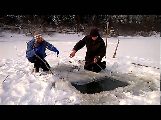 Судак на сети зимой. Winter fishing in Russia.