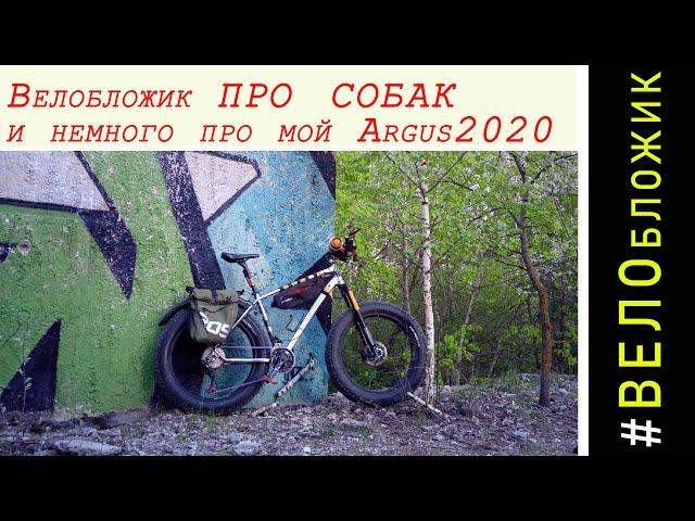 Велобложик про собак и немного про мой Argus2020