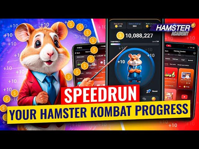 Explaining Hamster Kombat to Complete Beginners: Ultimate Guide Hamster Academy