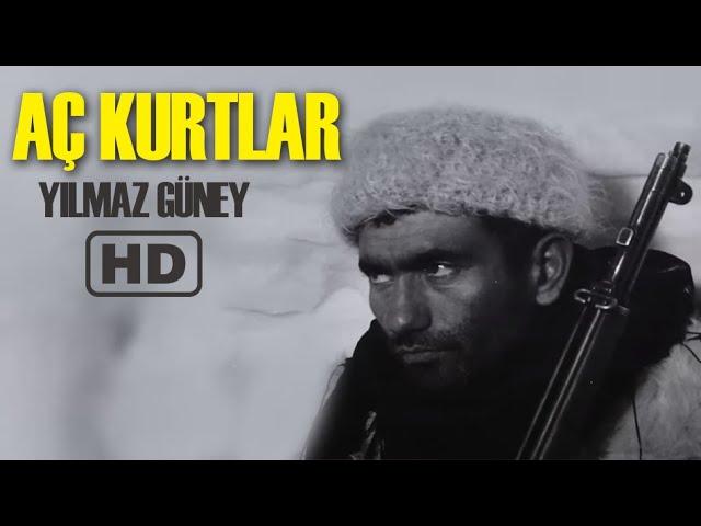 Aç Kurtlar Türk Filmi | FULL | YILMAZ GÜNEY