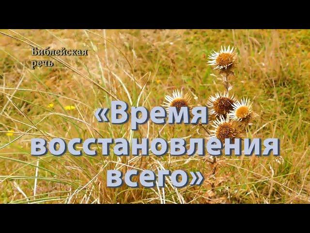 Почему Свидетели Иеговы уверены, что всё это не пустые мечты?