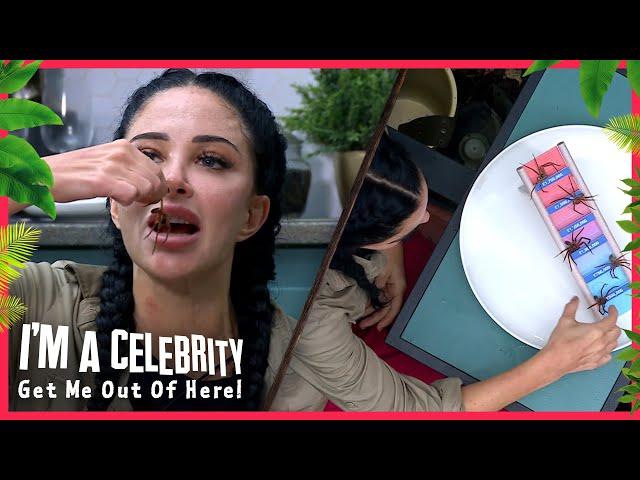 Tulisa eats TWO huntsmen spiders whole! | I'm A Celebrity... Get Me Out of Here! 2024