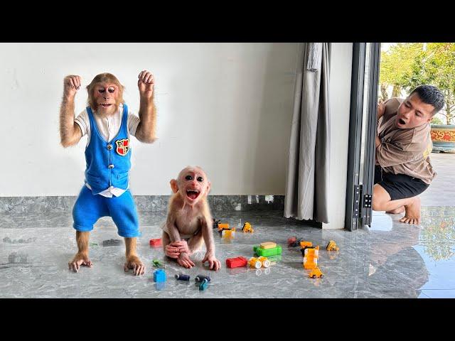 CUTIS naughty secretly plays tricks that make baby monkey extremely excited