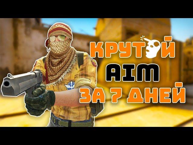 Я тренировал АИМ 7 ДНЕЙ и вот что из этого вышло... | cs go