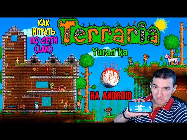 Как играть в Terraria[Android] по СЕТИ(LAN) с ДРУЗЬЯМИ