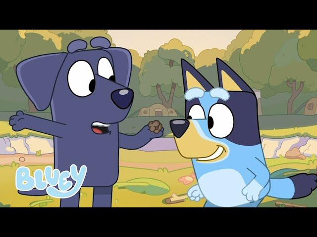 Bluey Fun Outdoors! | Bluey