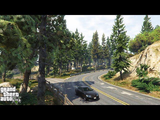 КАК УСТАНОВИТЬ МОД на НОВУЮ РАСТИТЕЛЬНОСТЬ в ГТА 5 | УЛУЧШАЕМ GTA 5