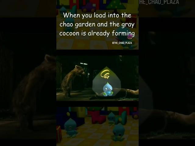 Most chao garden players only have this happen to them once. Once is enough. #sonicadventure2