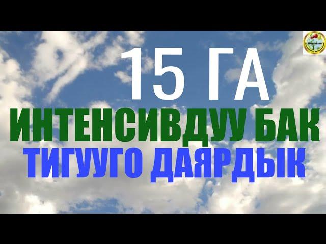 Интенсивдуу багбанчылык kg Панфиловдо 15 га жерди келечекте бак тигуу учун изилдоо учуру