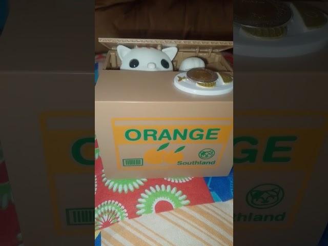 cute kitty Catbox Meow Asmr