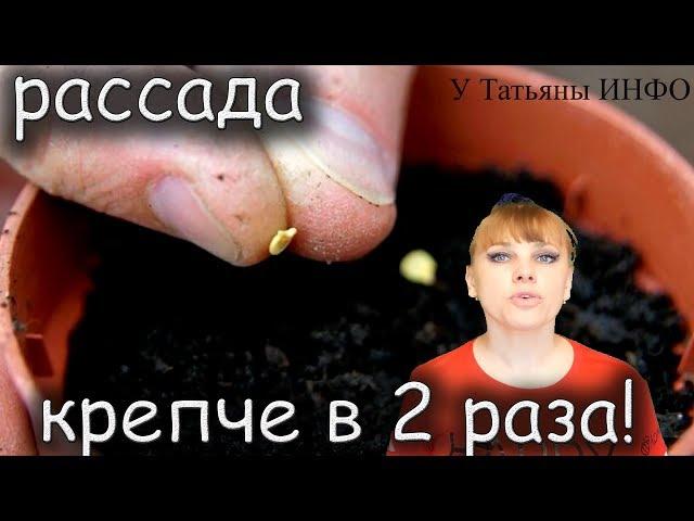 КОГДА высаживать и КАК выращивать РАССАДУ ПЕРЦА !!!