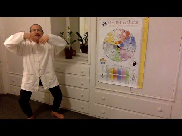 AOBTA Winter Solstice 2019 Qigong Practice with Matthew Sweigart