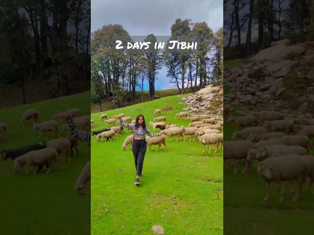 2 days in Jibhi Tirthan Valley ( Himachal Pradesh ) ️ #shorts #trendingshorts #travel