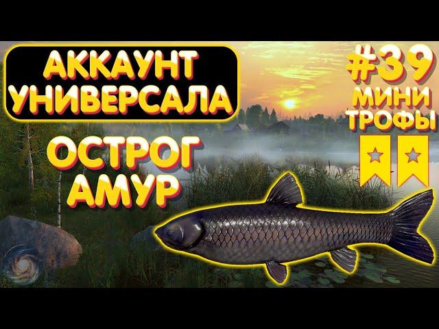 Аккаунт универсала #39 | Амур Лещ Карась | два мини ТРОФА | оз. Старый Острог | Русская Рыбалка 4