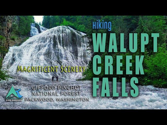 Walupt Creek Falls| I Will Look For You I Will Find You | Off-Grid Adventure | Chasing Waterfalls