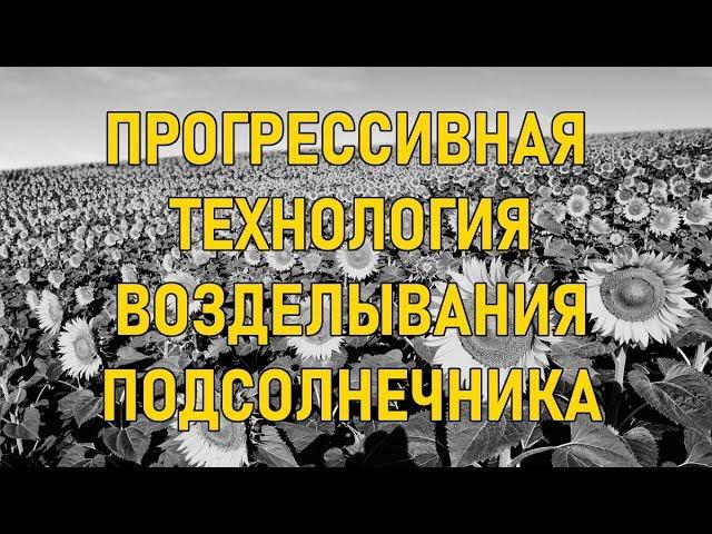 Технология возделывания подсолнечника