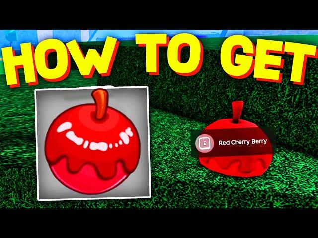 How To GET & USE RED CHERRY BERRY in BLOX FRUITS! Red Cherry Berry Location!